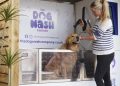 New first-of-its kind dog wash coming to Sandwell Valley Visitor Centre