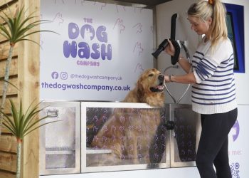 New first-of-its kind dog wash coming to Sandwell Valley Visitor Centre